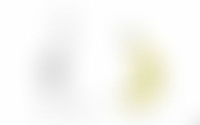 tuesday @ 8pm in sage – artists & rejection: how to make the best of it before it gets the best 