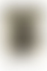 The Natural Center at Frontispace