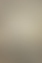 LAND PROTECTORS in collaboration with the Preservation League of NYS, the Rochester Olmsted Parks Alliance, and NYSCA Reception Feb. 8th 6-8pm 2024 in ASIS Gallery.