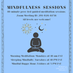 Weekly Meditation Sessions via Zoom