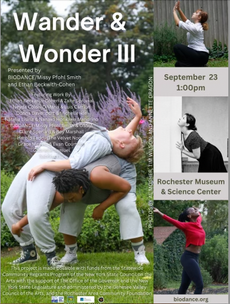Wander & Wonder III