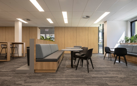 GOVERNMENT ORGANISATION