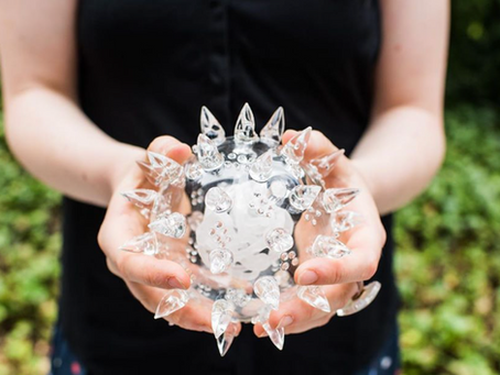Estudiantes de Los Andes ganaron el "Biodesign Challenge 2019" en Nueva York
