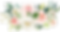 flower bouquet 11.png