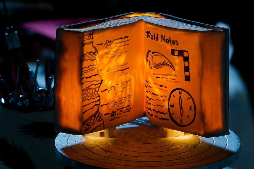 Thumbnail: Journal Dinosaur Book