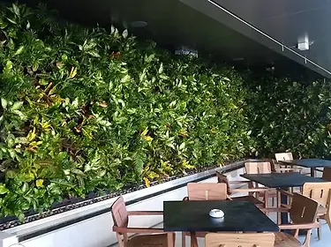 green wall adn vertical garden
