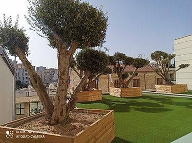 wooden planters on a roof garden