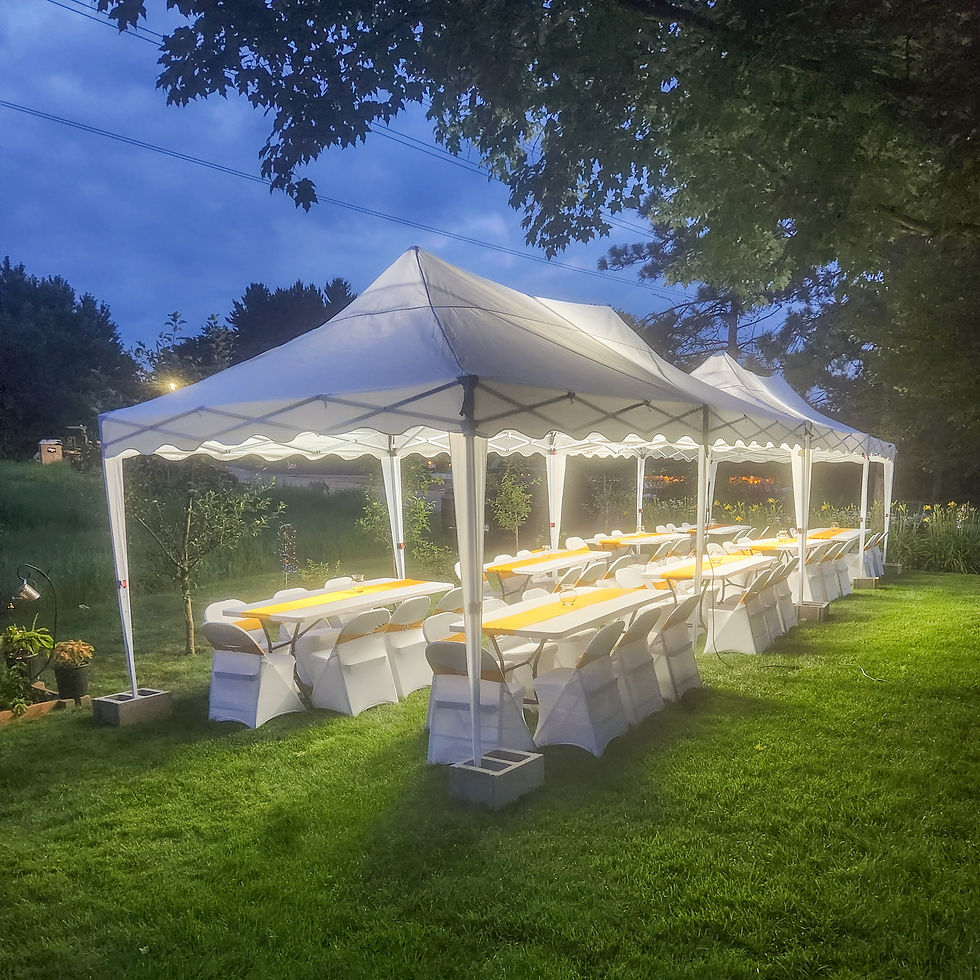 Equip and Enjoy Party tent with lights.jpg