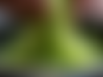 Discover the Unique Flavors of Cambodian Papaya Salad at Sophea's Kitchen This New Year!