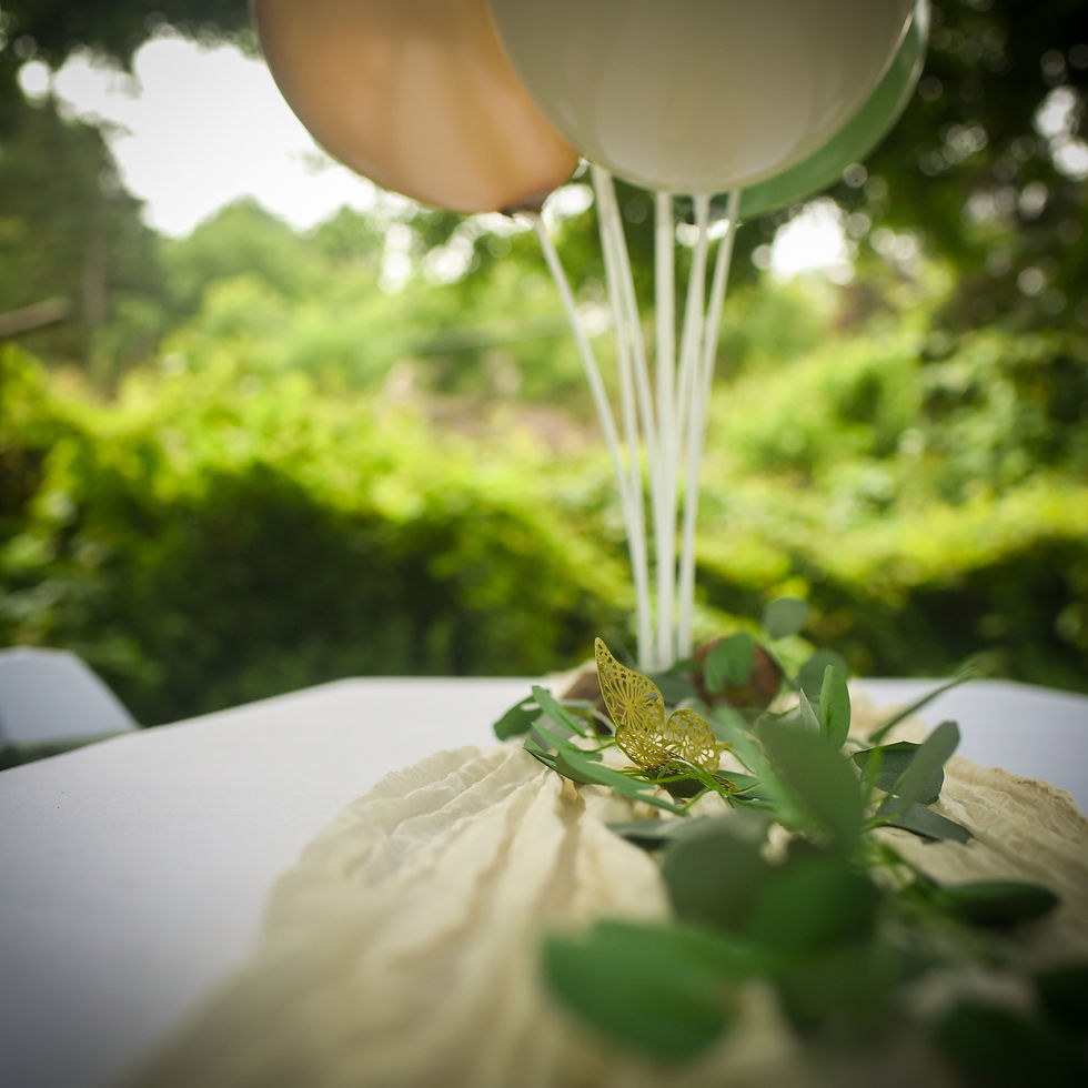 Equip and Enjoy Table runner and Balloons.jpg