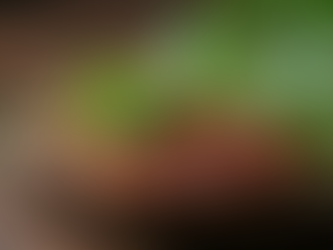 Exploring the Unique Flavor Balance of Cambodian Cuisine Compared to Thai and Vietnamese Dishes