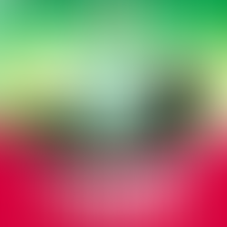 JAWEB - Botola Rajawia