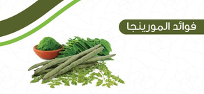 فوائد المورينجا