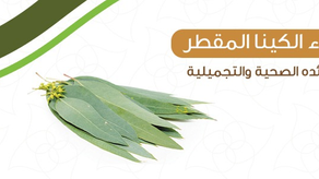 ماء الكينا المقطر