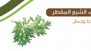 ماء الشيع المقطر