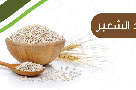 فوائد الشعير
