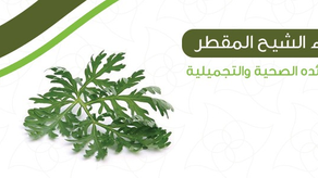 ماء الشيح المقطر