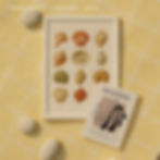 Poster and cart beach mockup
