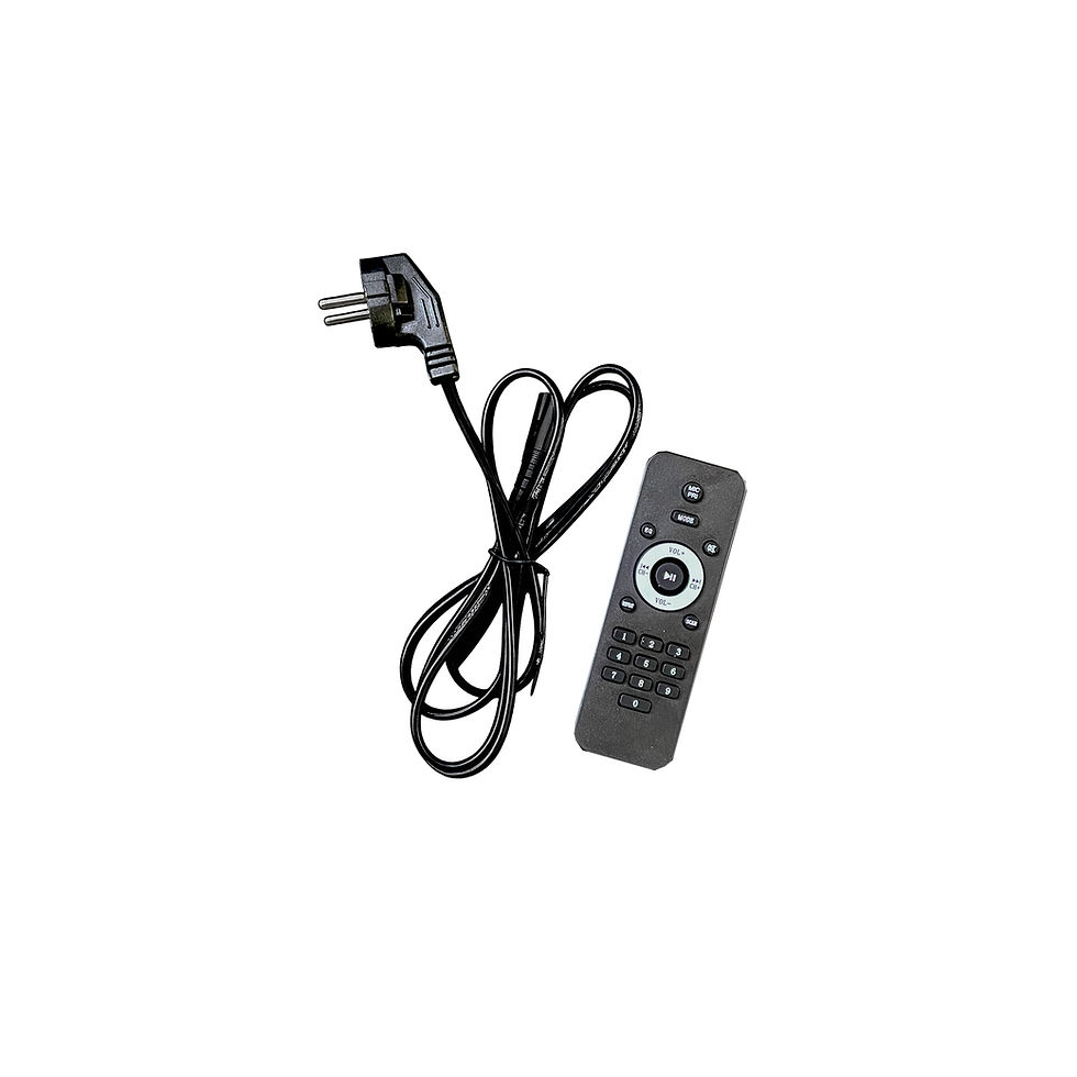 الصورة المصغرة: VOLT PARTY BOX SK-10000