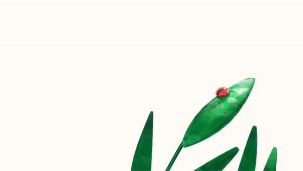 BON_GIF.gif