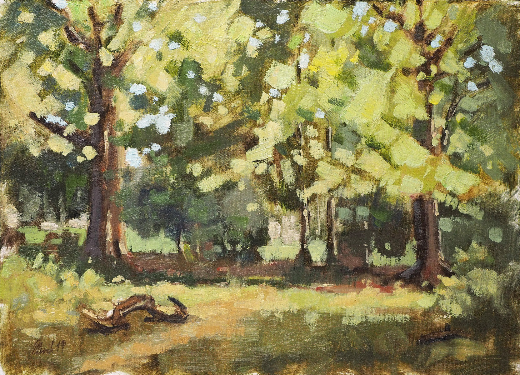 Late Afternoon Foliage, New Forest