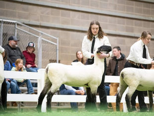 Meet the Candidates - Anastasia Poull: An Agricultural Journey to Storytelling