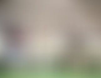 Meet the Candidates - Anastasia Poull: An Agricultural Journey to Storytelling