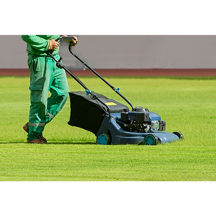 Design ohne Titel (12).png