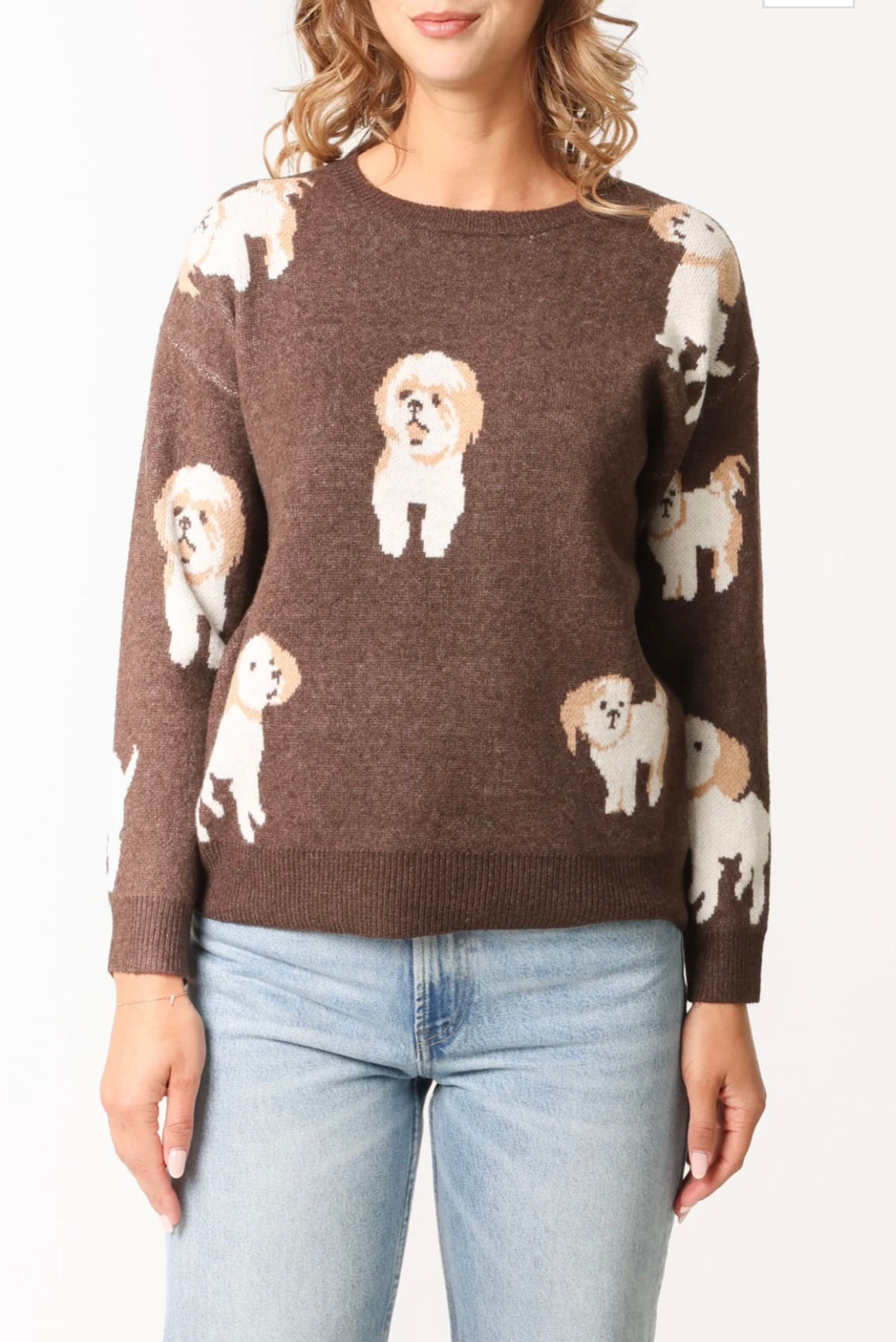 Shih  Tzu Jumper 