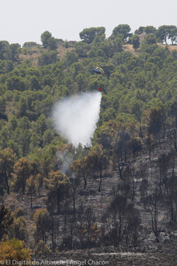 Incendio forestal en Férez