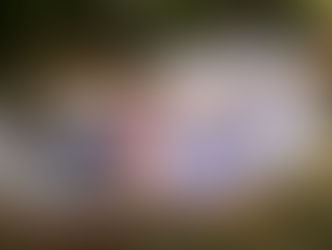 Behind the Fashion of Red, White & Royal Blue