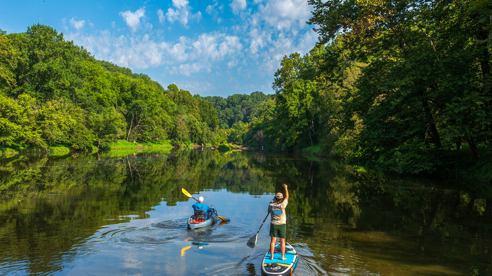 Kayaker and paddleboarder on a tree-lined river