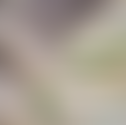 El poder de los bloqueos y las creencias familiares - una analogía con el elefante domesticado