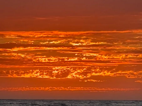 🌙Komorebi, Yuragi & Sanpo Yoshi: Lessons from the Forest