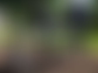 Speelpleintjes en speeltuinen kunnen weer open