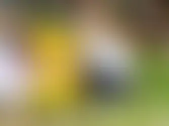 22 steden en gemeenten krijgen label Kindvriendelijke Stad of Gemeente