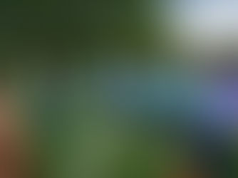 Nieuw synthetisch voetbalveld voor Anderlechtse Sint-Niklaasinstituut