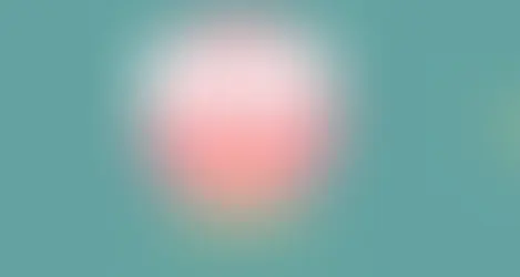 Nieuwe projectoproep om jongeren te versterken via het Nederlands