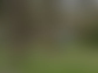 Hoe Bar Eliza opnieuw een verloederd paviljoen werd