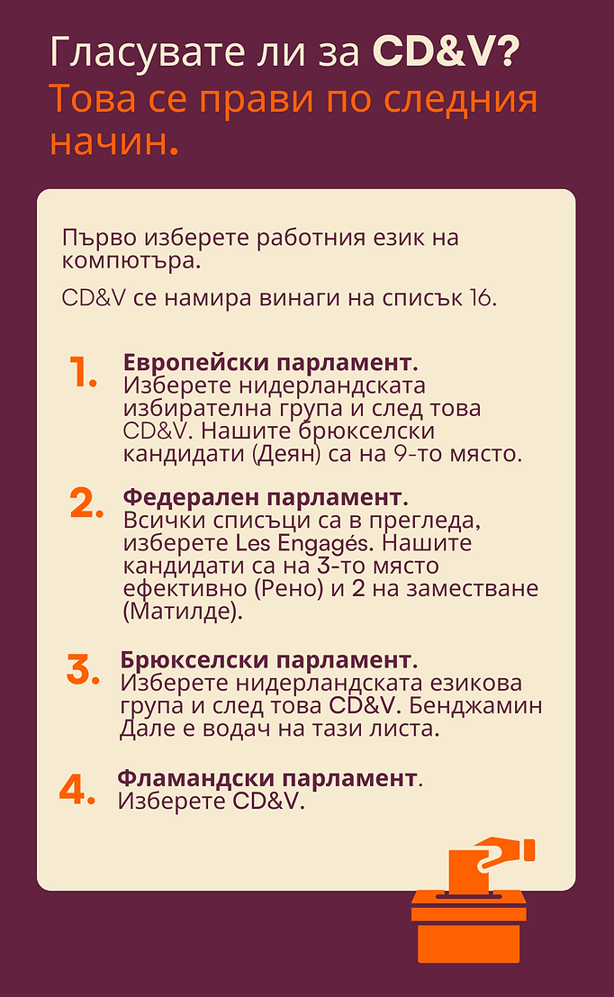 steminstructies bg.png