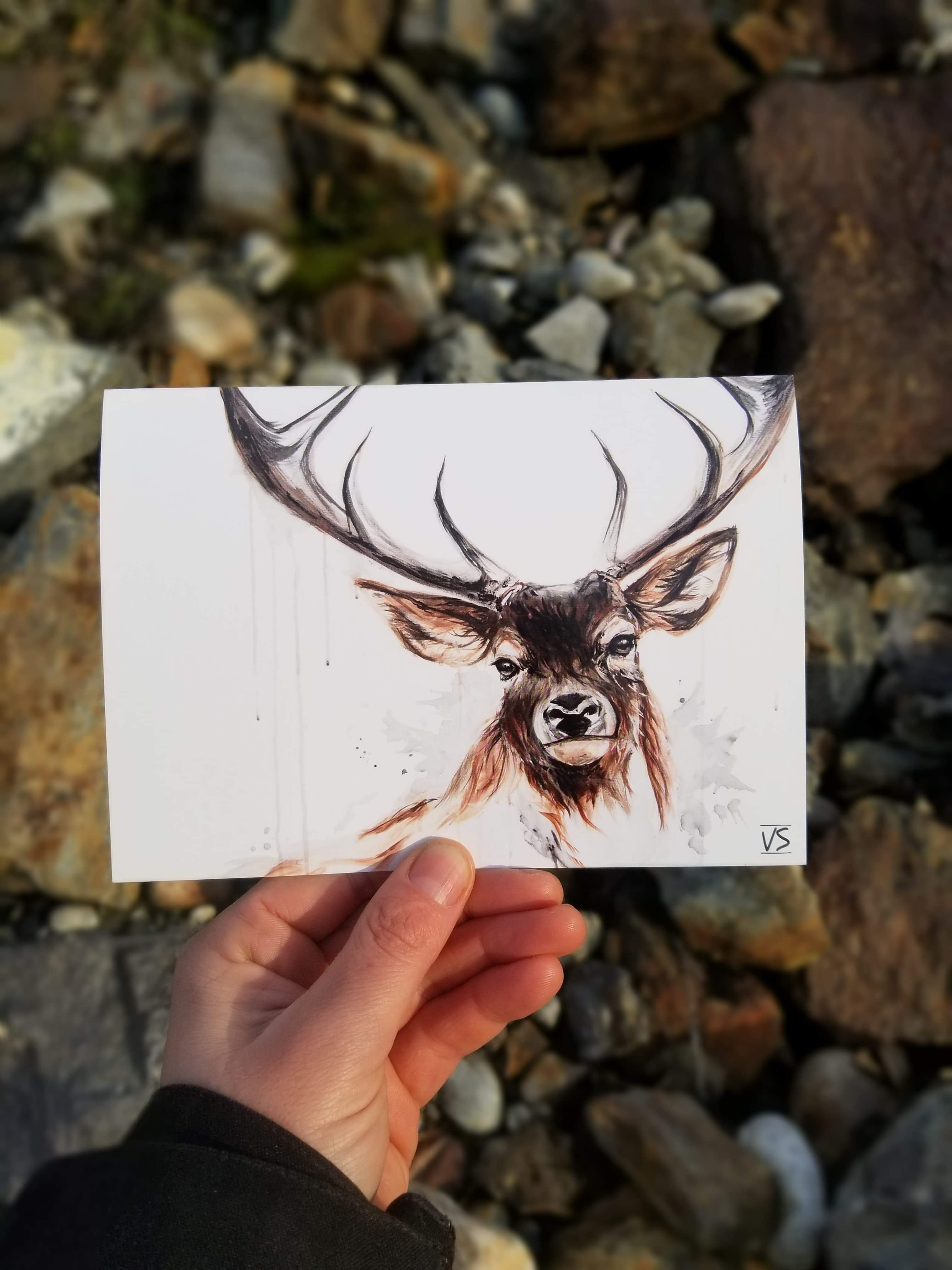 oh my deer greeting card