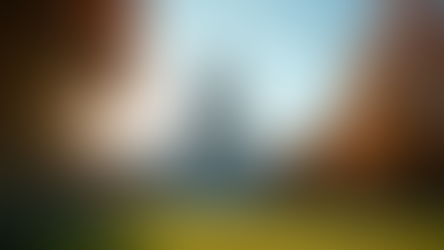 The Political Landscape in Indiana: The Impact of Indiana Politics on State Policies