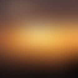 Courting The Beloved