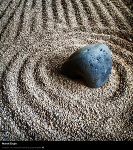 Zen Sand Marsh Engle
