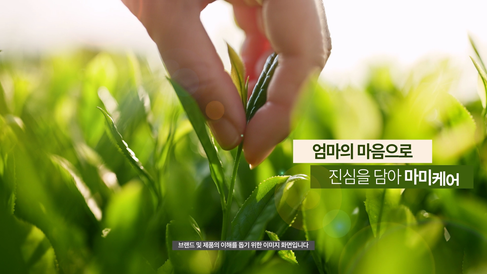 홈쇼핑 인서트 '들깨 선크림' 브랜드