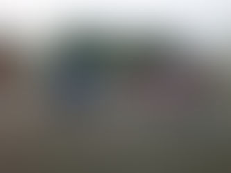 体操をしました