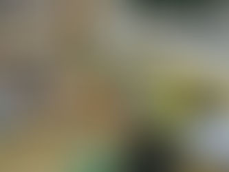 ようちえんであそぼう