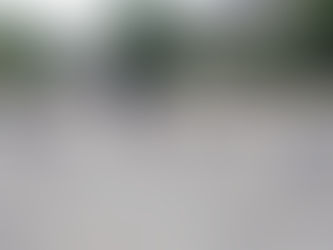 体育指導 年少組