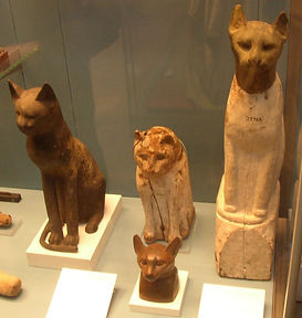gatos-momificados.jpg