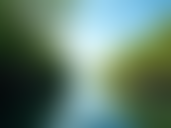 Exploring Miami's Unique Ecosystem and Its Impact on Social Environment